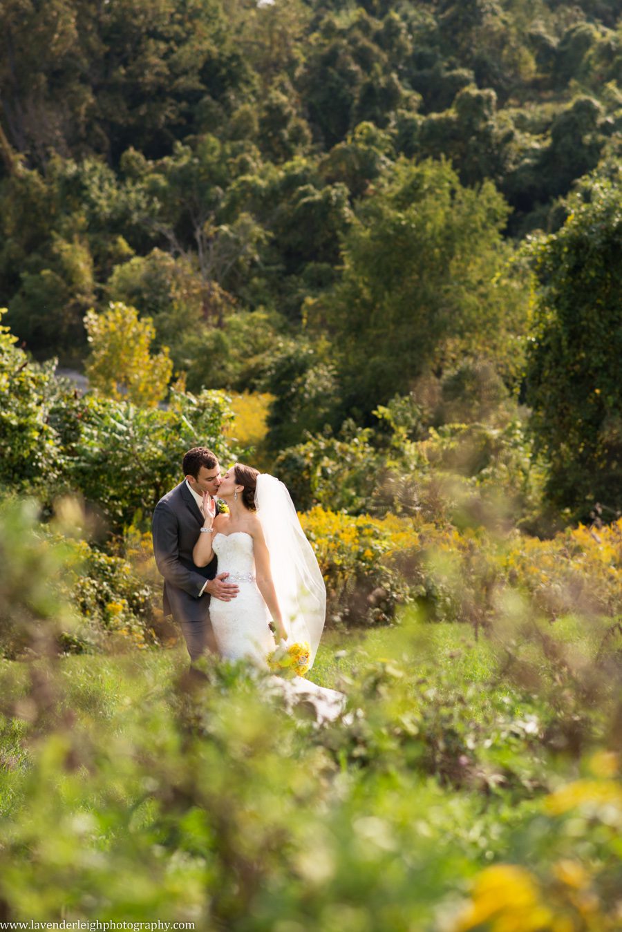 Cefalo's Wedding| Bride and Groom |Introductions |Pittsburgh Wedding Photographer | Pittsburgh Wedding Photographers | Lavender Leigh Photography | Blog