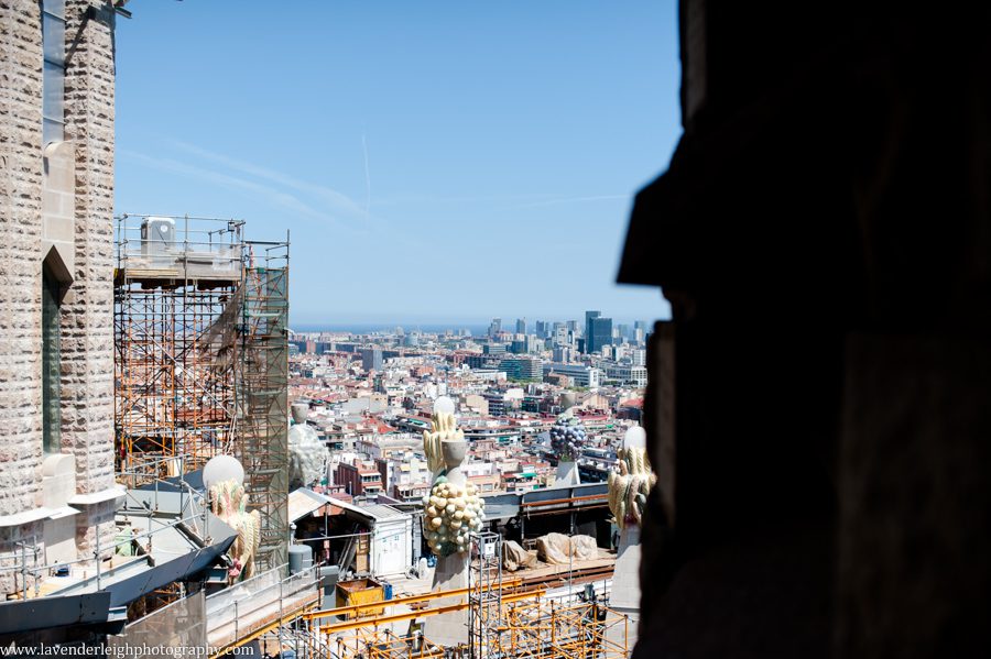 We took a tower tour.  I'm afraid of heights and almost passed out walking from the top down the spiral staircase!