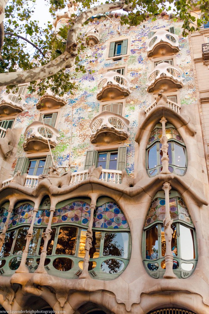 Costa Brava and Barcelona Lavender Leigh Photography-136