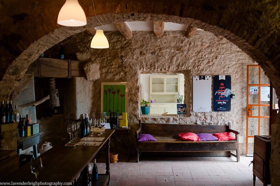 The tasting room at Mas Oller