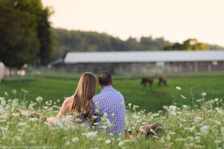 Farm Engagement Session Lavender Leigh Photography-12