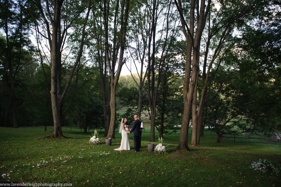 The bride and groom hold hands at their wedding ceremony at Greendance, the Winery at Sandhill in Mt. Pleasant, Pennsylvania