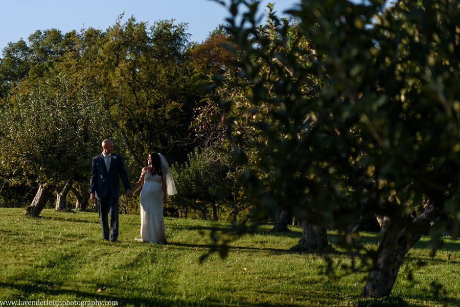 A picture of the bride and groom walking in an apple orchard at Greendance, the winery at Sandhill in Mt. Pleasant, Pennsylvania