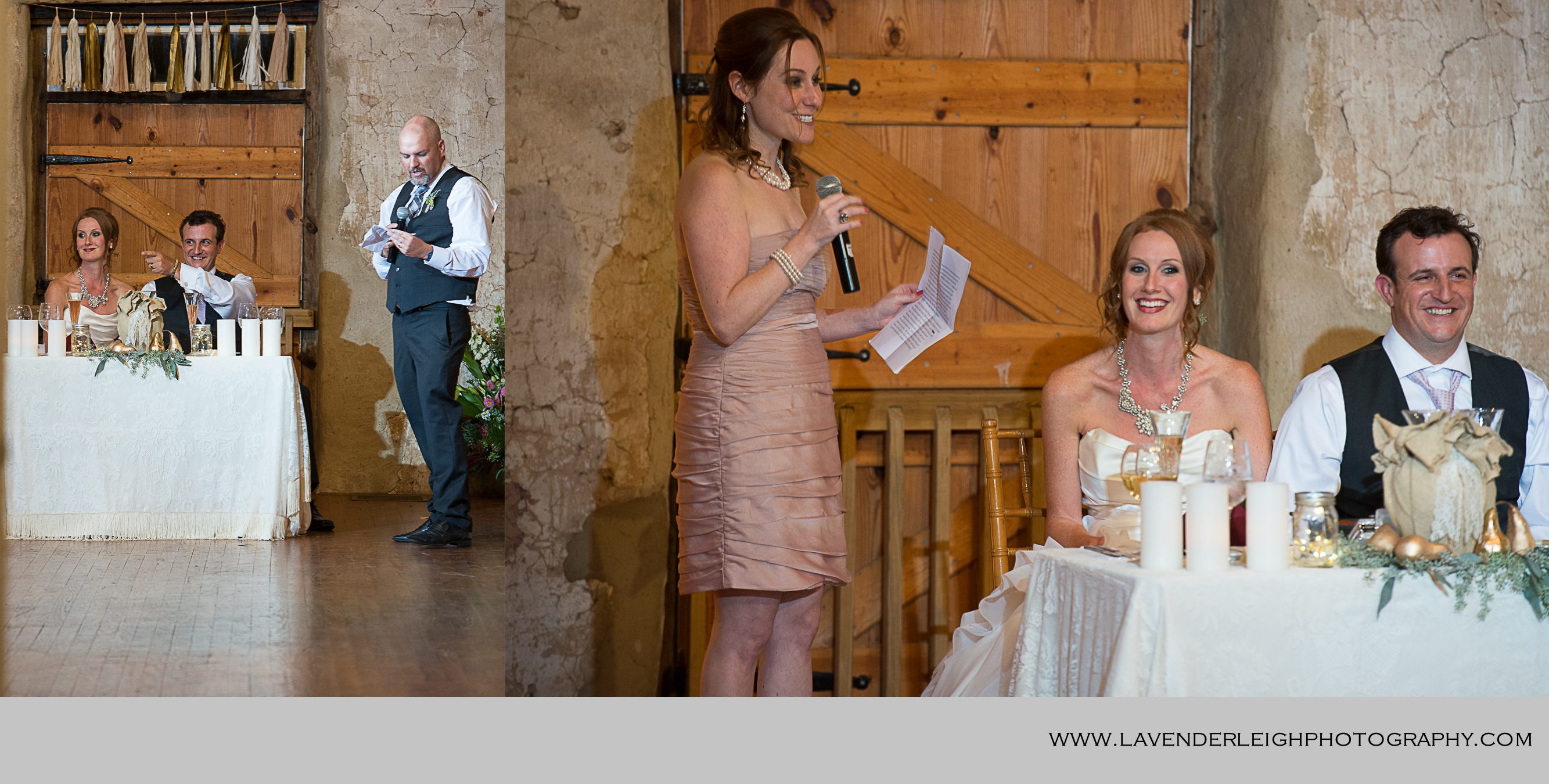 John James Audubon Center Wedding| Reception |Wedding Speeches|Pittsburgh Wedding Photographer | Pittsburgh Wedding Photographers | Lavender Leigh Photography | Blog