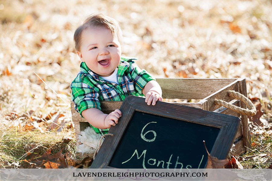 Little E is 6 Months Old | Portrait Session|  Pittsburgh Family Photographer| Pittsburgh Children's Photographer| Lavender Leigh Photography| Blog