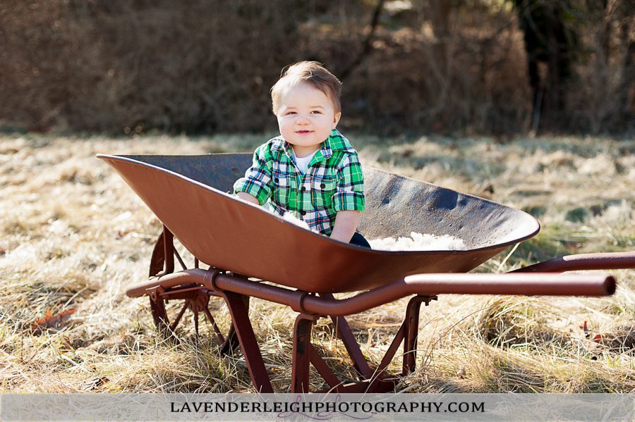 Little E is 6 Months Old | Portrait Session|  Pittsburgh Family Photographer| Pittsburgh Children's Photographer| Lavender Leigh Photography| Blog