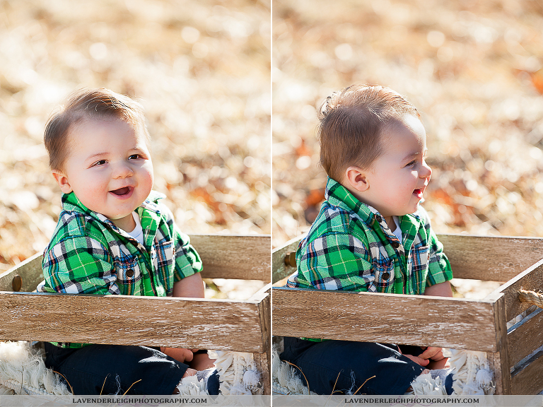 Little E is 6 Months Old | Portrait Session|  Pittsburgh Family Photographer| Pittsburgh Children's Photographer| Lavender Leigh Photography| Blog