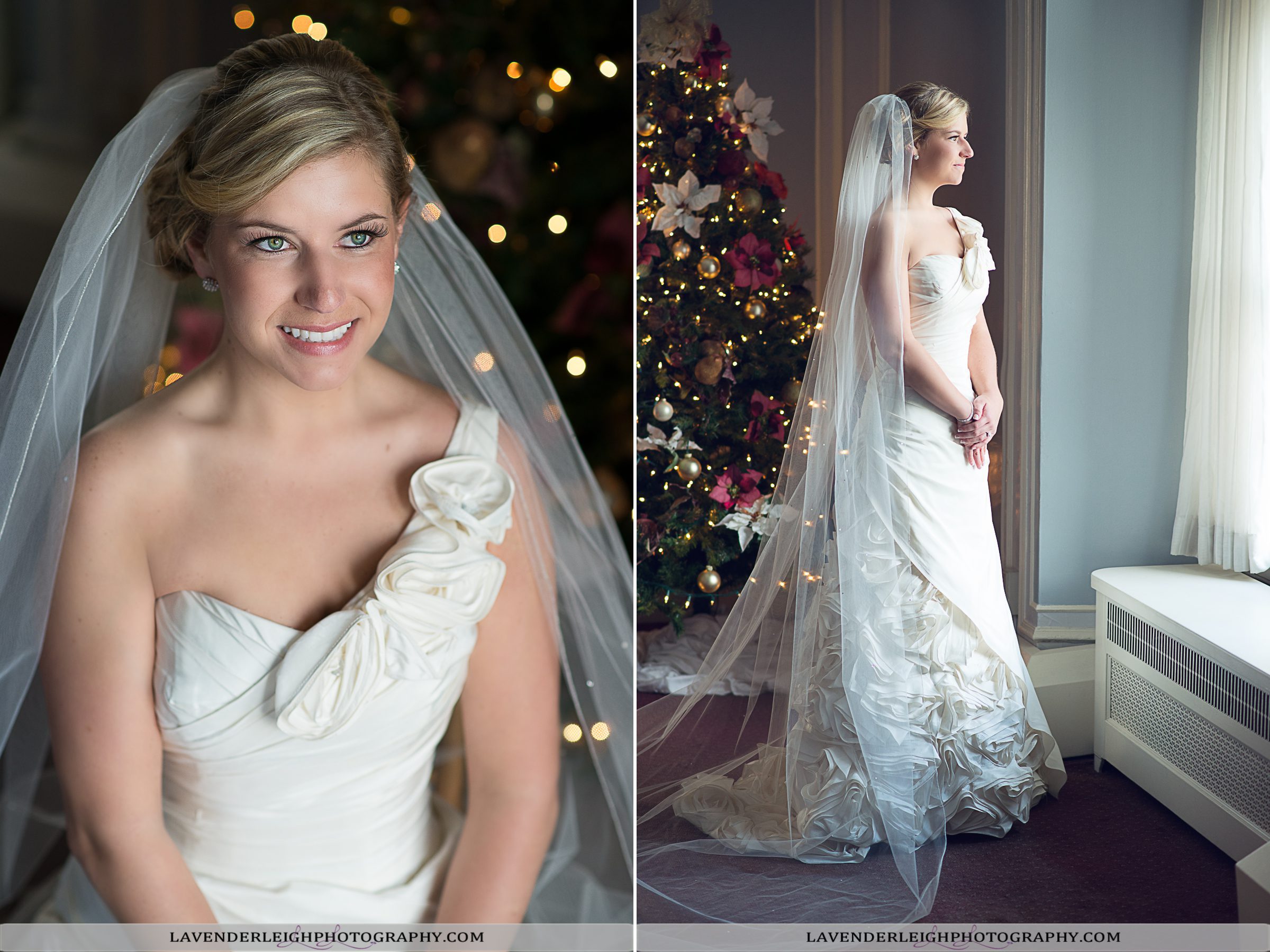 Bride Portraits| Pittsburgh Athletic Association| Lavender Leigh Photography