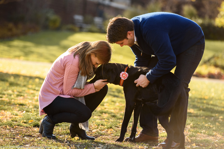 Pittsburgh, Mellon Park, Engagement Session, Fall, Autumn, Engagement Photos, Dog, Sunset, Wedding Photographer, Lavender Leigh Photography, Blog