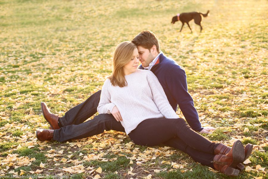 Pittsburgh, Mellon Park, Engagement Session, Fall, Autumn, Engagement Photos, Dog, Sunset, Wedding Photographer, Lavender Leigh Photography, Blog