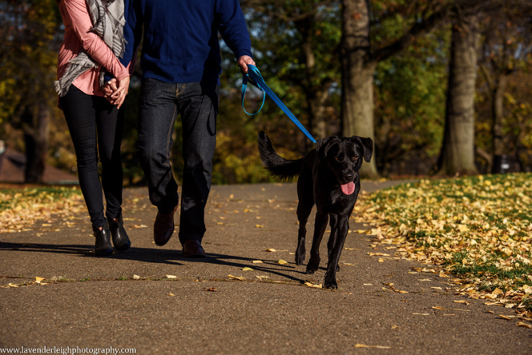 Pittsburgh, Mellon Park, Engagement Session, Fall, Autumn, Engagement Photos, Dog, Sunset, Wedding Photographer, Lavender Leigh Photography, Blog