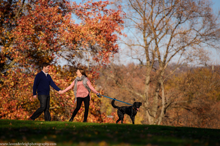 Pittsburgh, Mellon Park, Engagement Session, Fall, Autumn, Engagement Photos, Dog, Sunset, Wedding Photographer, Lavender Leigh Photography, Blog