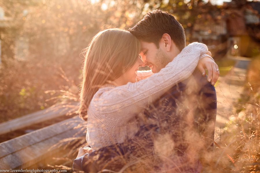 Pittsburgh, Mellon Park, Engagement Session, Fall, Autumn, Engagement Photos, Dog, Sunset, Wedding Photographer, Lavender Leigh Photography, Blog
