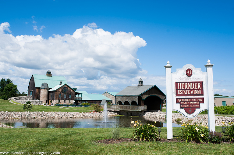 Pittsburgh Wedding Photographer | Pittsburgh Wedding Photographers | Pittsburgh Engagement Photographer | Pittsburgh Portrait Photographer | Lavender Leigh Photography | Niagara on the Lake | Blog