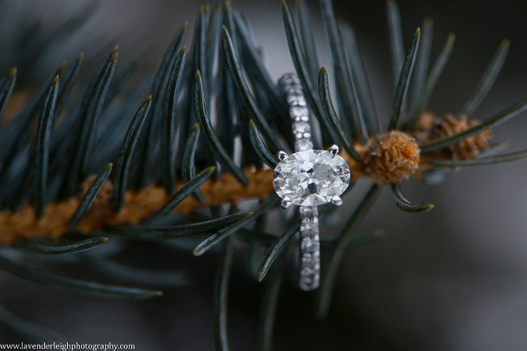 Engagement Ring | North Park Winter Engagement Session| Pittsburgh Wedding Photographer | Pittsburgh Wedding Photographers | Lavender Leigh Photography | Blog