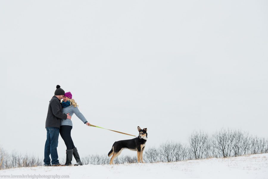 North Park Winter Engagement Session with Dog| Pittsburgh Wedding Photographer | Pittsburgh Wedding Photographers | Lavender Leigh Photography | Blog
