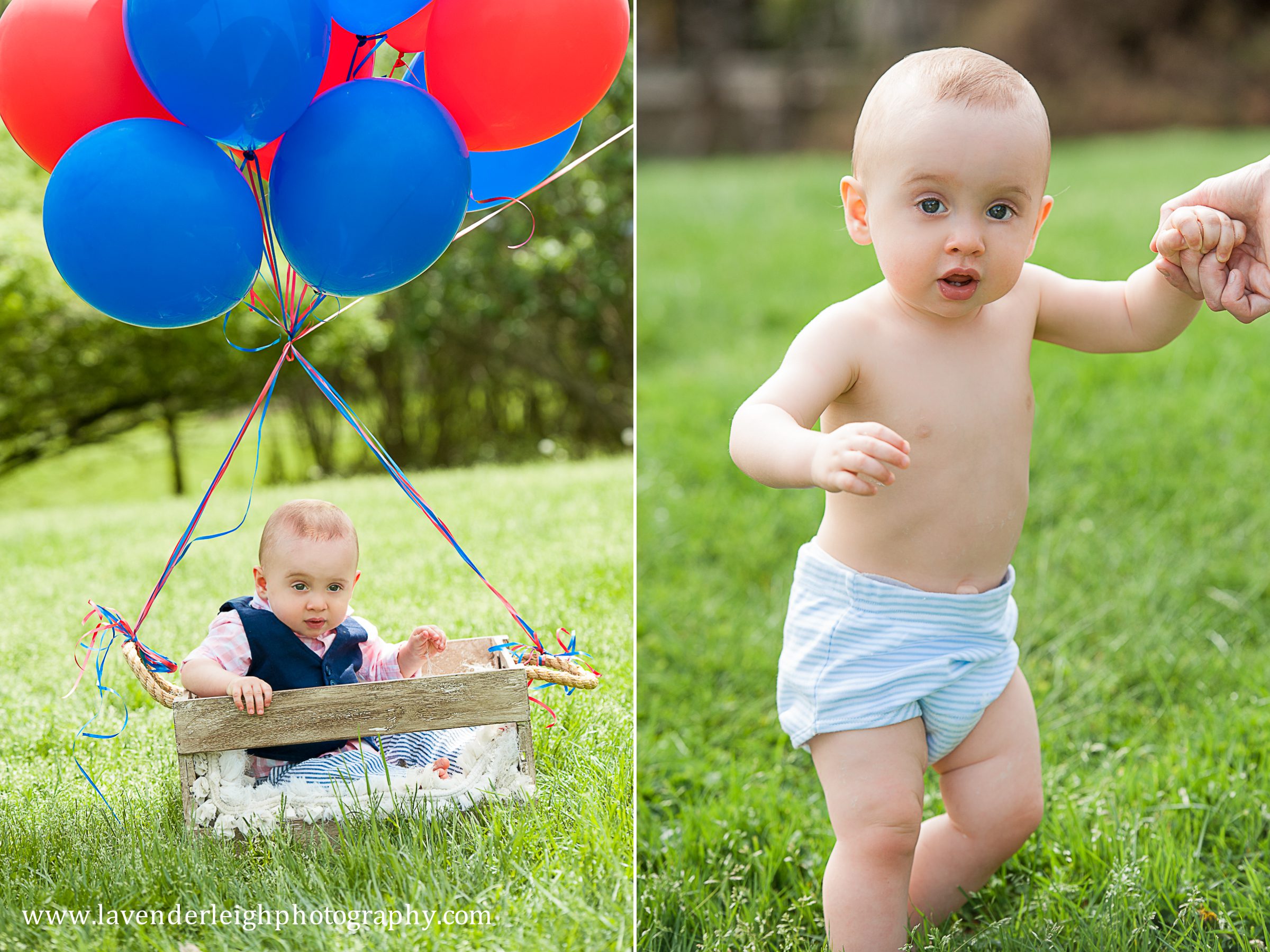 1 Year Old Photography | Portrait Session| Pittsburgh Family Photographer| Pittsburgh Children's Photographer| Lavender Leigh Photography| Blog | Hartwood Acres