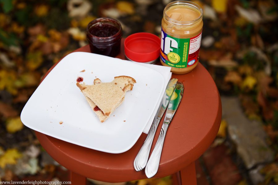 Peanut Butter and Jelly Unity, Point Breezeway, Lavender Leigh Photography, wedding, engagement, boudoir photographer in Pittsburgh, Pennsylvania