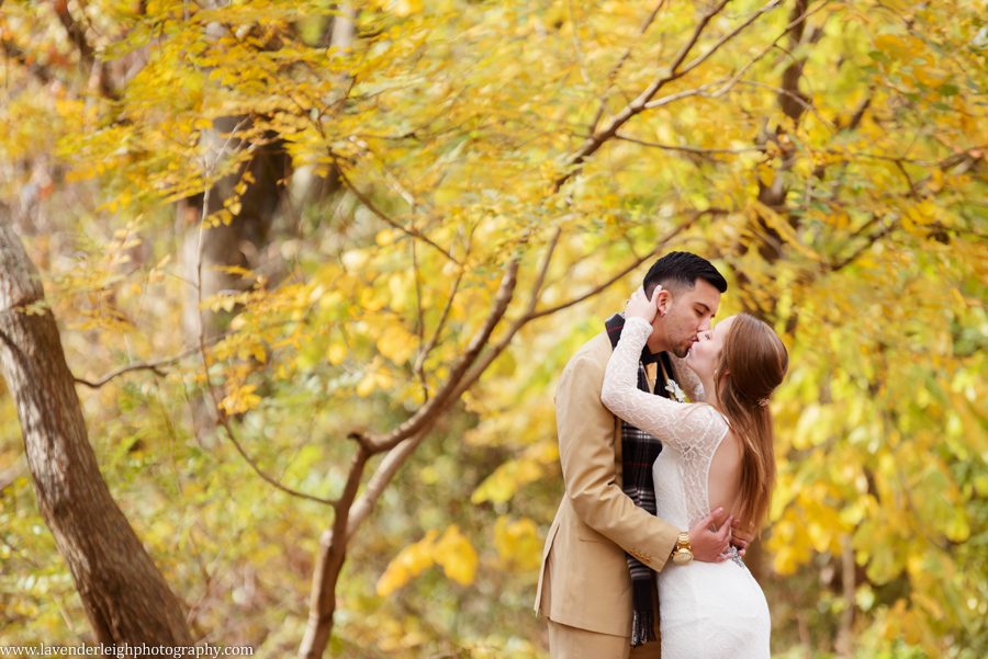 Bride and groom in frick park, Point Breezeway, Lavender Leigh Photography, wedding, engagement, boudoir photographer in Pittsburgh, Pennsylvania, fall, autumn