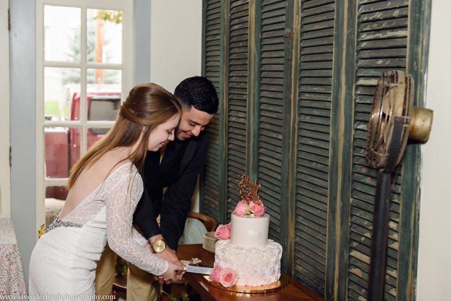 Bride and Groom cut cake, Point Breezeway, Lavender Leigh Photography, wedding, engagement, boudoir photographer in Pittsburgh, Pennsylvania