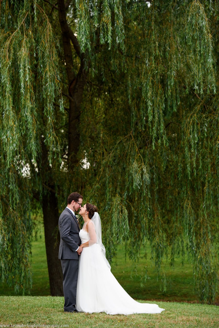 Bride and Groom's Portrait | Barn Wedding | Rustic Acres Wedding Reception | Rustic Acres Ceremony | Watters Love Marley Wedding Dress | Pittsburgh Wedding Photographer | Pittsburgh Wedding Photographers | Lavender Leigh Photography | Blog