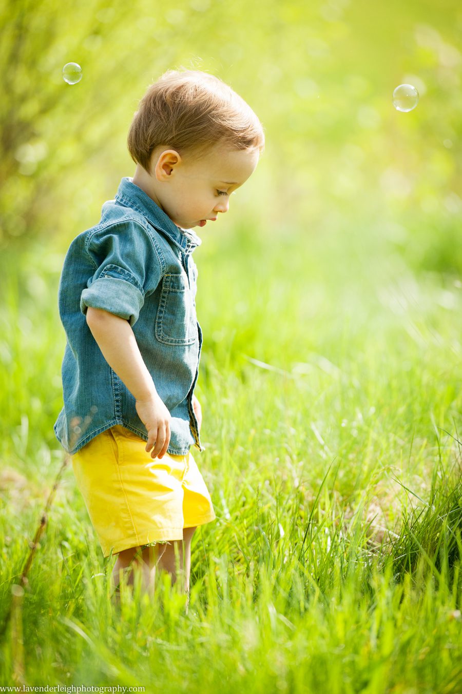 2 Year Old Photography | North Park | Portrait Session|  Pittsburgh Family Photographer| Pittsburgh Children's Photographer| Lavender Leigh Photography| Blog