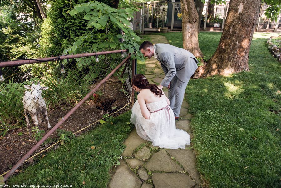 <alt>bride and groom saying hi to the chickens at Choderwood in Pittsburgh, Pennsylvania</alt>