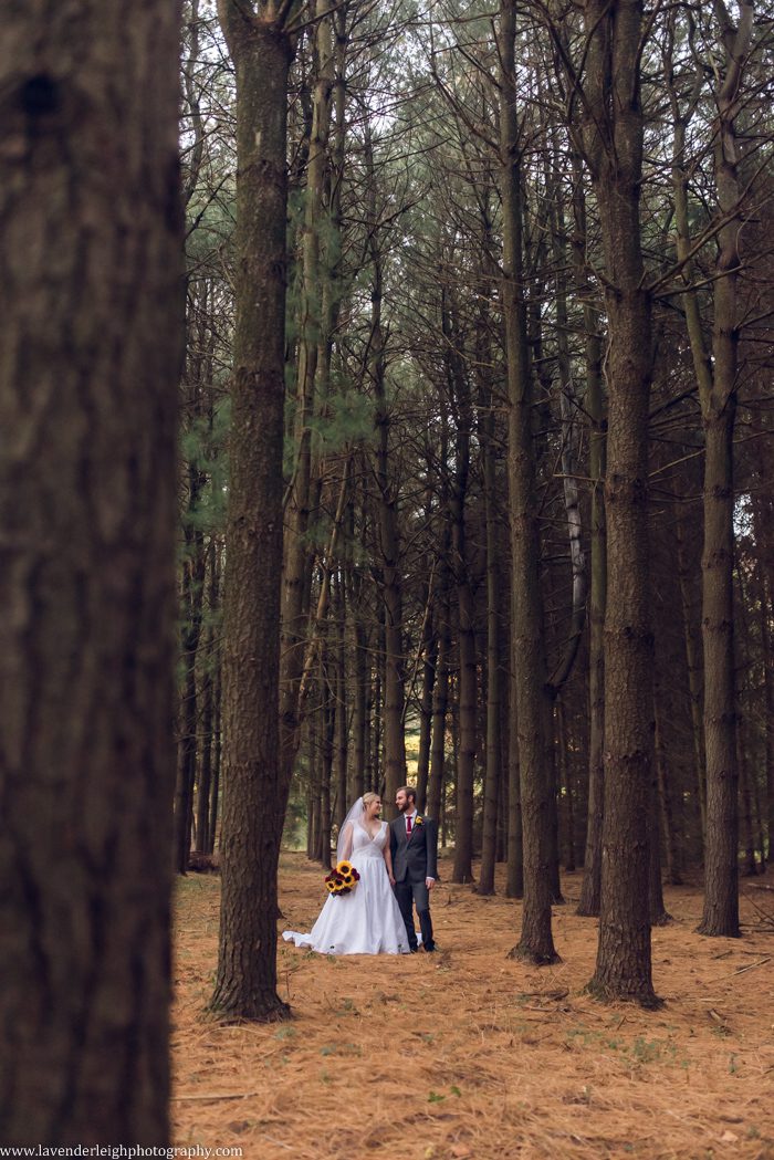 <alt>pittsburgh pennsylvania wedding, engagement, and boudoir photographer, lavender leigh photography</alt>