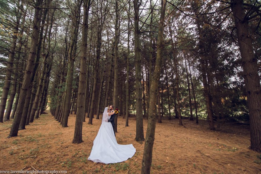 <alt>pittsburgh pennsylvania wedding, engagement, and boudoir photographer, lavender leigh photography</alt>