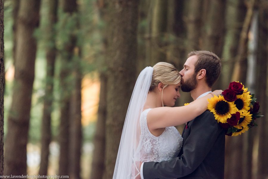 <alt>pittsburgh pennsylvania wedding, engagement, and boudoir photographer, lavender leigh photography</alt>