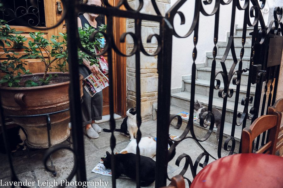 <alt>lavender leigh photography in athens, greece</alt>