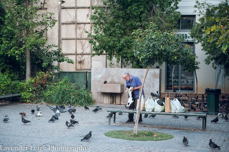 <alt>lavender leigh photography in athens, greece</alt>
