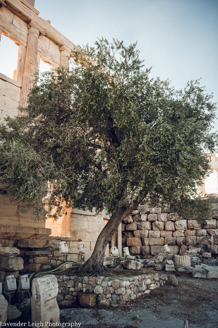 <alt>lavender leigh photography in Athens, Greece</alt>