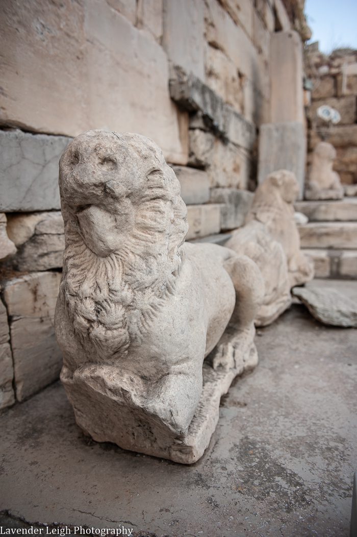 lavender leigh photography in athens, greece