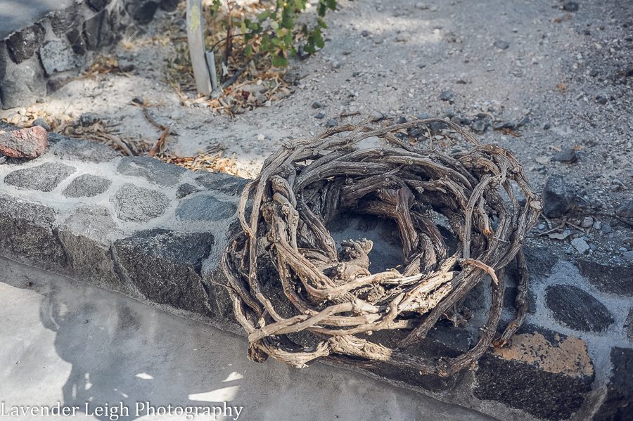 <alt>lavender leigh photography's travel to Athens, Santorini, and Kalambaka Greece</alt>