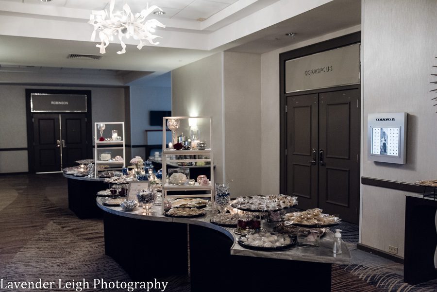 <alt> pittsburgh airport marriott wedding by lavender leigh photography</alt>