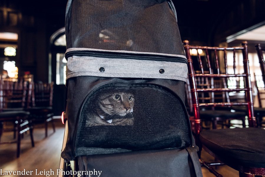 <alt>pittsburgh pennsylvania wedding, engagement, and boudoir photographer</alt>